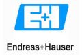 endress-and-hauser